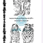 دانلود کتاب آفرینش خدایان | راز داستان‌های ایران باستان