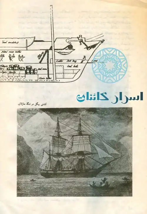 دانلود کتاب داروین | زندگی چارلز داروین، نظریه تکامل